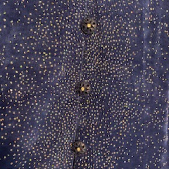 R&M Richards by Karen Kwong Plus Size evening pantsuit with long sequined jacket - Picture 7 of 7